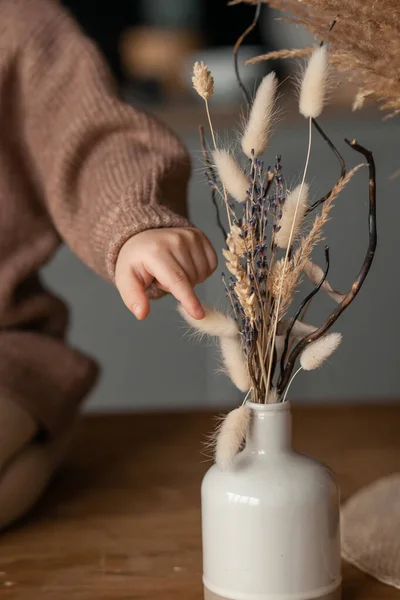 Child Hand Warm Brown Sweater Touches Dry Lagurus Vase Development — Stock Photo, Image