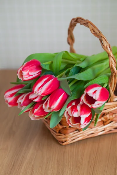 Coral tulips in a basket on wooden background close-up. — Stock Photo, Image