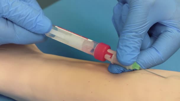 Taking Blood Manikin Vein Using Aspiration System — Stock Video