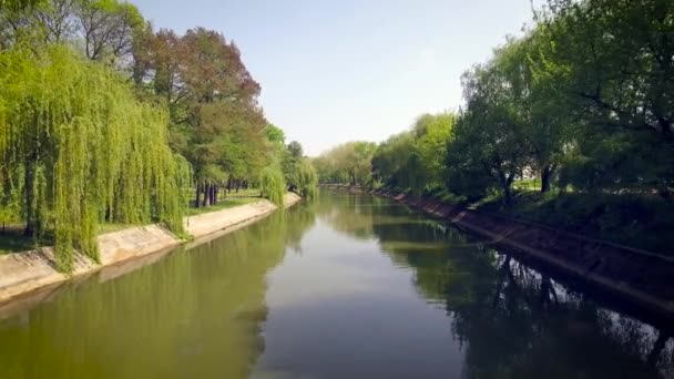 Drone flying over a river — Stock Video