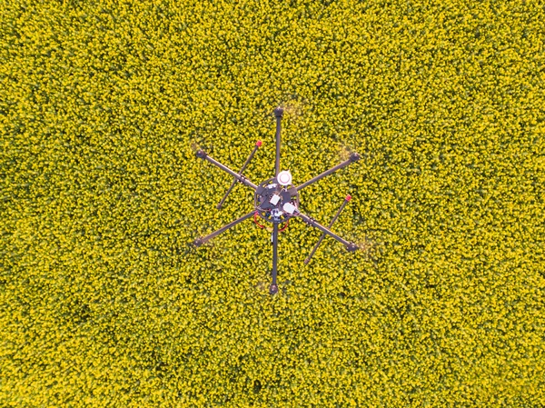 Yukarıda da görüleceği diğer uçağı tarafından dron — Stok fotoğraf