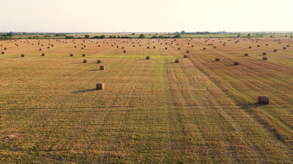 Pacas redondas de paja en los campos — Foto de Stock