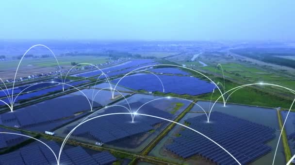 Аерофотозйомка Сонячних Панелей Концепція Підключення Мережі — стокове відео