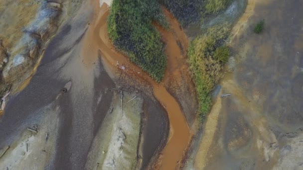 De vervuilde oever van de vergiftigde rivier — Stockvideo