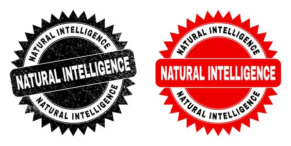 INTELIGENCIA NATURAL Roseta Sello Negro con Superficie Grunge — Archivo Imágenes Vectoriales