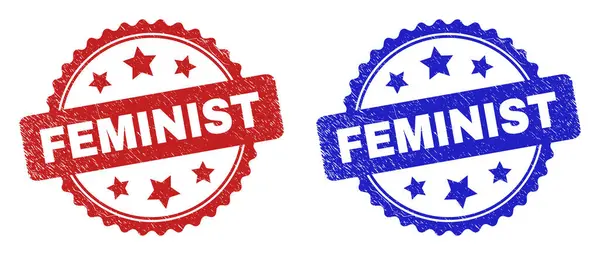 FEMINIST Rosette Stempel Zeehonden met onrein oppervlak — Stockvector