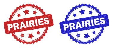 PRAIRIES Rosette Pulları Çizik Doku