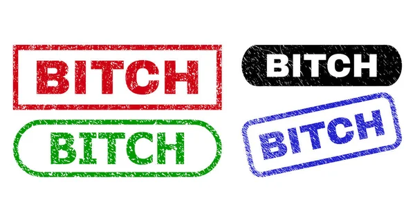 BITCH Rectangle Stamp Seals with Grunge Texture — 图库矢量图片