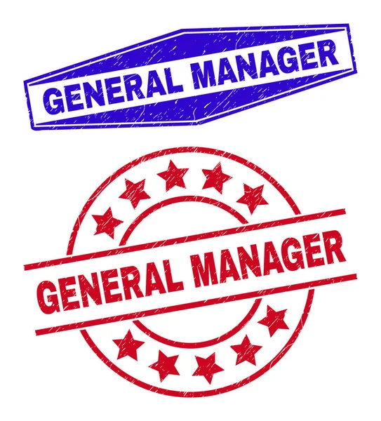 GENERAL MANAGER Unclean Stamp Seals in Circle and Hexagon Shapes — Stock Vector