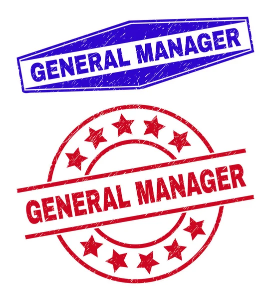 GENERAL MANAGER Sellos de sellos sucios en forma de círculo y hexágono — Vector de stock