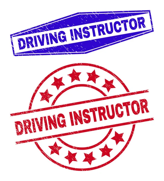 DRIVING INSTRUCTOR Grunge Badges in cirkel- en zeshoekige vormen — Stockvector