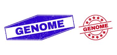 GENOME Üzüntü Çember ve Altıgen Şekiller içinde Mühürleri