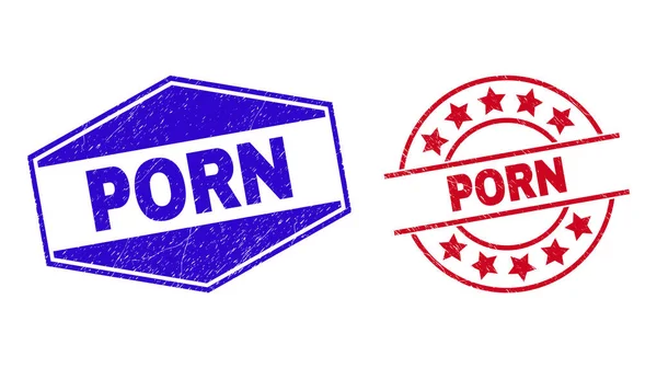 PORN Badges impurs en forme de cercle et hexagonal — Image vectorielle