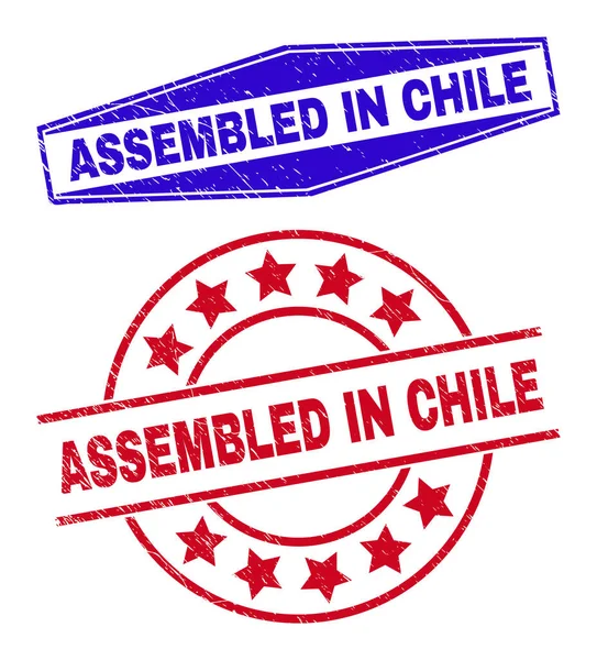 ASSEMBED IN CHILE Corroded Seals in Circle and Hexagon Forms —  Vetores de Stock