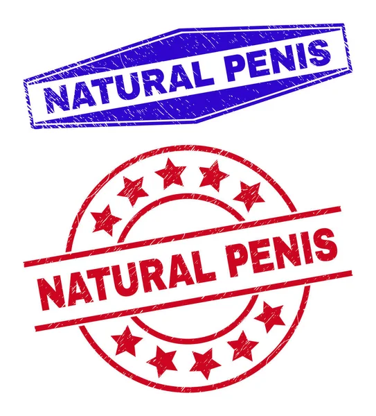 NATURAL PENIS Scratched Stamp Seals in Circle and Hexagon Shapes — Stock Vector