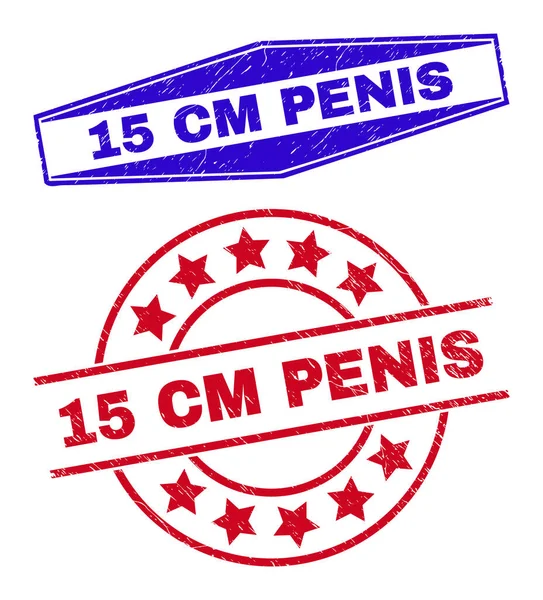 15 CM PENIS Distress Watermarks in Round and Hexagon Shapes — Archivo Imágenes Vectoriales