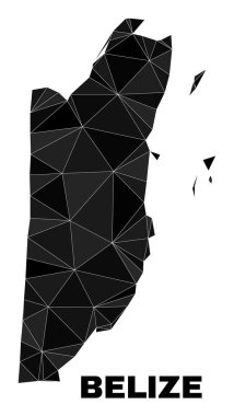 Vector Polygonal Belize Map
