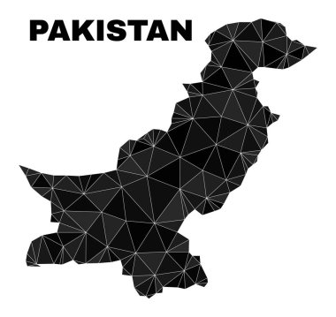Vektör Çokgen Pakistan Haritası