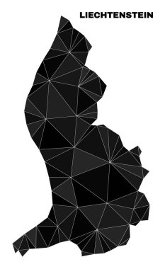 Vektör Üçgeni Doldurulmuş Lihtenştayn Haritası