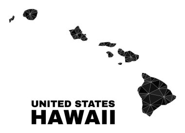 Hawaii Eyalet Haritası Vektör Üçgeni Dolduruldu