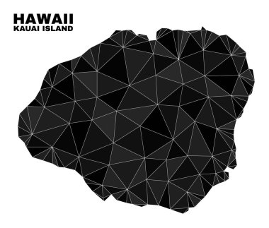 Vektör Çokgen Kauai Adası Haritası