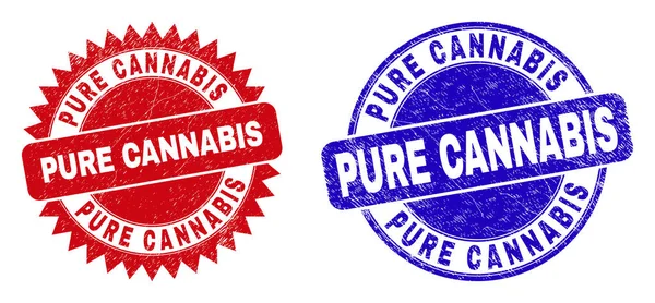 PURE CANNABIS kerek és rozettás pecsét tisztátalan felülettel — Stock Vector