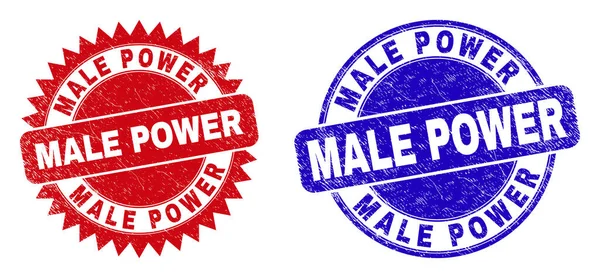 MALE POWER Round and Rosette Seals with Grunge Texture — Stock Vector