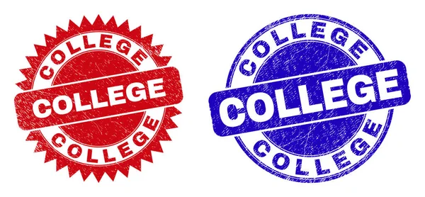 COLLEGE Rounded and Rosette Seals with Scratched Surface — Stock Vector