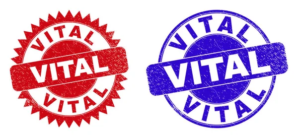 VITAL Rund och Rosett Vattenmärken med Grunge Yta — Stock vektor