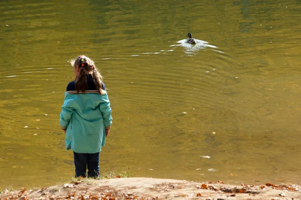 Kind Meisje Staat Bij Het Meer Kijkt Naar Drijvende Eend — Stockfoto