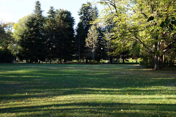 Largas Sombras Césped Verde Parque Otoño — Foto de Stock