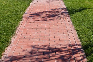     Asfalt bahçe yolu ve yeşil çimen                           