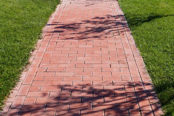     Asfalt bahçe yolu ve yeşil çimen                           