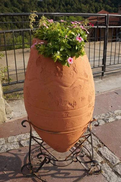 Flores Una Olla Barro Grande Soporte Metal — Foto de Stock