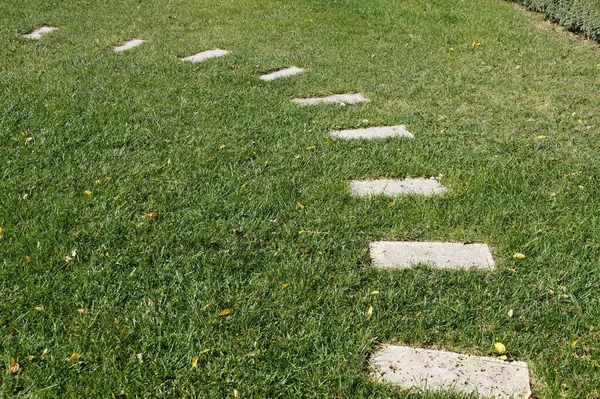 緑の芝生の上の装飾的な石の歩道 — ストック写真