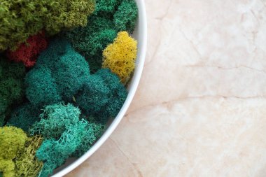 Bir ofis ya da apartmanın iç dekorasyonu için çeşitli gölgelerden oluşan sabitlenmiş yosunlardan oluşan yuvarlak bir panel..