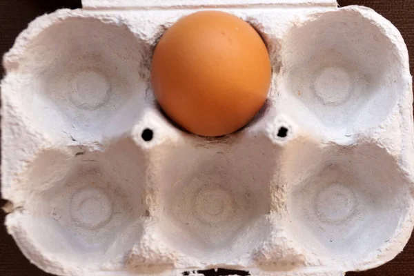 one brown chicken egg in a carton close up.