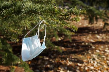 Koruyucu tıbbi maske ladin dalında asılı.