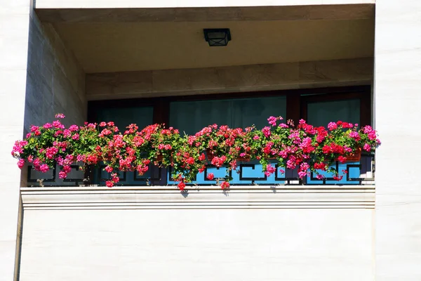 Üppige Blumen Balkongeländer Aus Nächster Nähe — Stockfoto