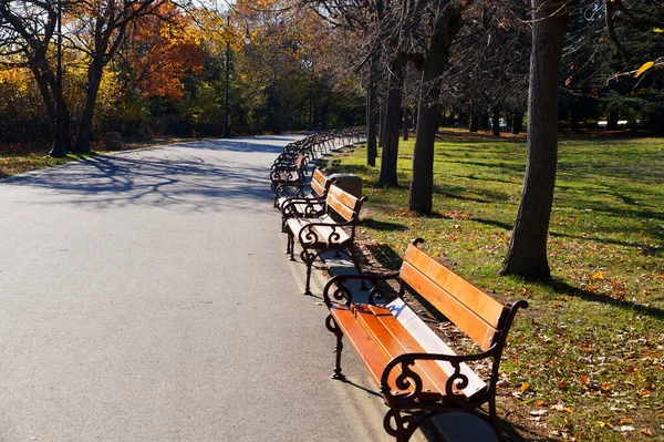 Üres Padok Parkban Egy Napsütéses Napon — Stock Fotó