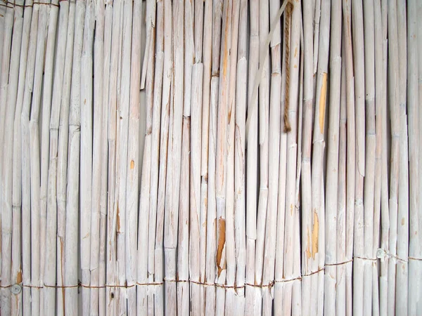 Dry Cane Texture Natural Beige Background — Stock Photo, Image