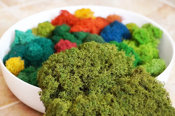 Bir ofis ya da apartmanın iç dekorasyonu için çeşitli gölgelerden oluşan sabitlenmiş yosunlardan oluşan yuvarlak bir panel..