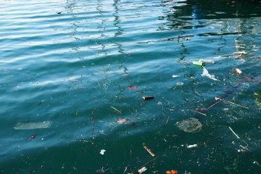 Varna limanındaki sudaki çöpler..