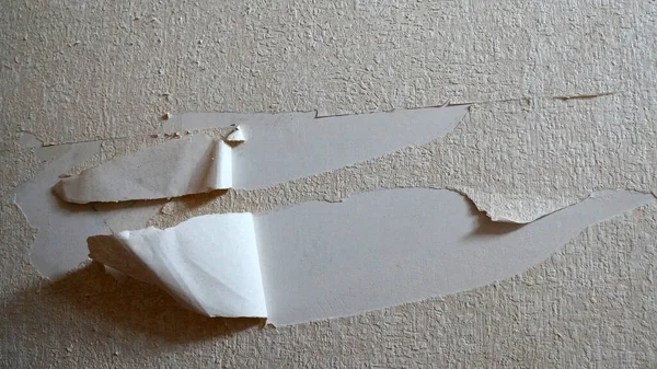 Duvardaki yırtık duvar kağıdı. Kapatın..