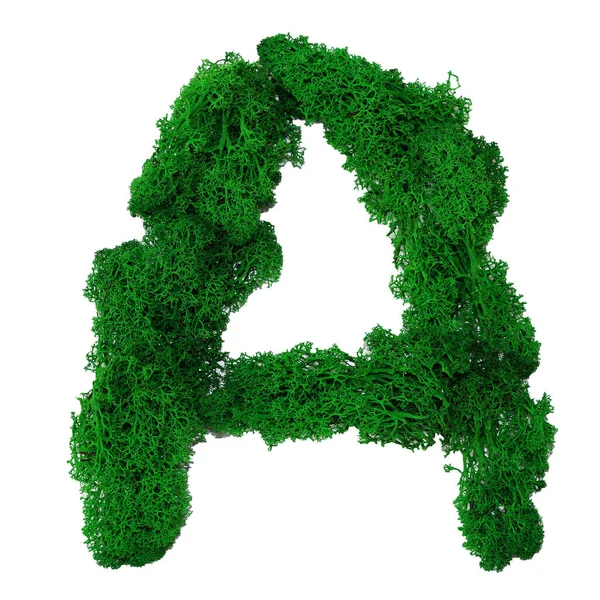 Lettera Dell Alfabeto Inglese Muschio Verde Stabilizzato Isolato Sfondo Bianco — Foto Stock