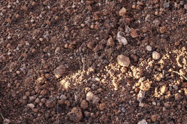 Doğal koyu arkaplan için kahverengi toprak dokusu.