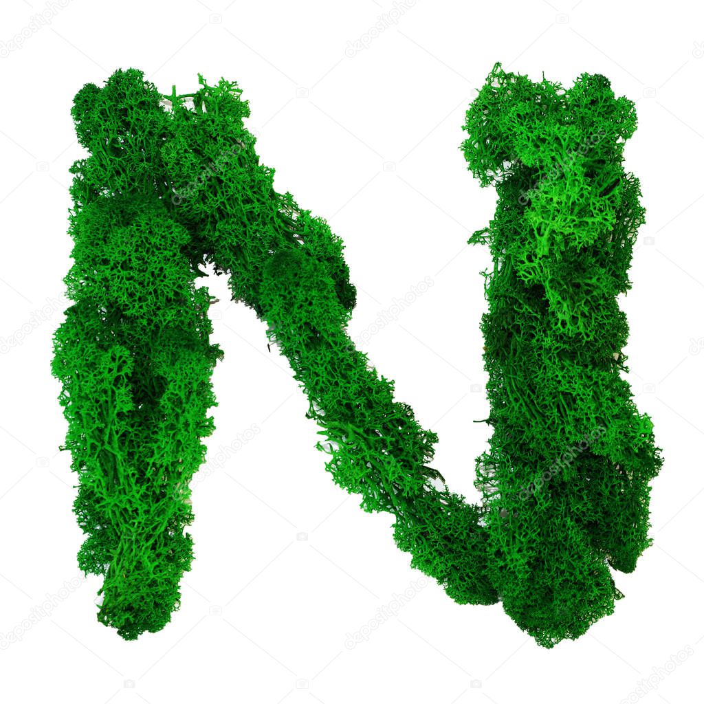 Letter N of the English alphabet made from green stabilized moss, isolated on white background.
