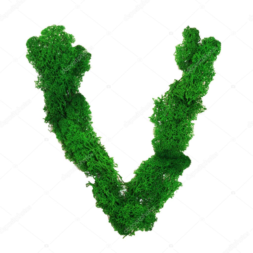 Letter V of the English alphabet made from green stabilized moss, isolated on white background.