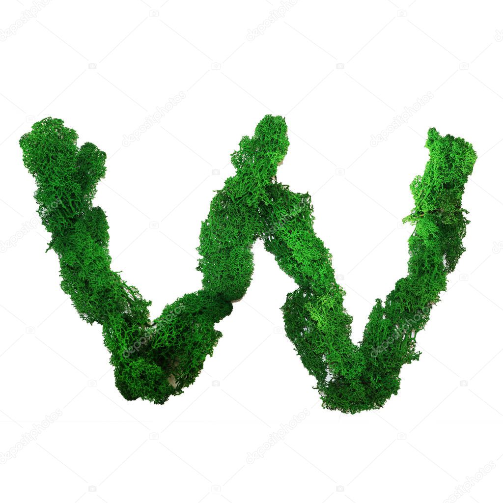 Letter W of the English alphabet made from green stabilized moss, isolated on white background.