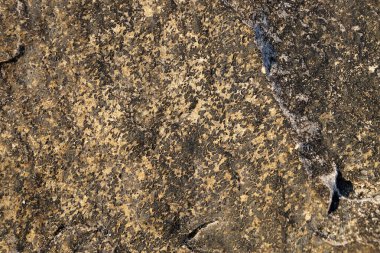 Doğal arka plan için gri taş dokusu